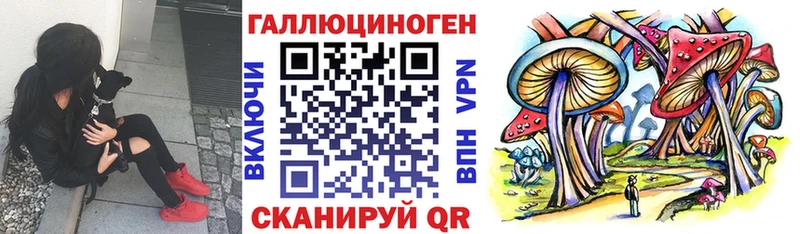 omg как зайти  Болхов  Псилоцибиновые грибы MAGIC MUSHROOMS 